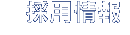 採用情報